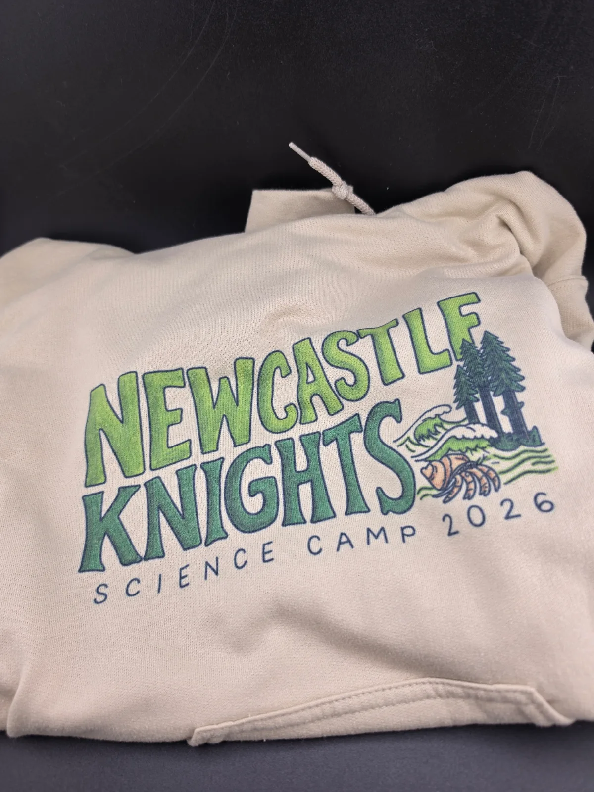 Custom made infusible ink hoodie — handmade by Clever Create
